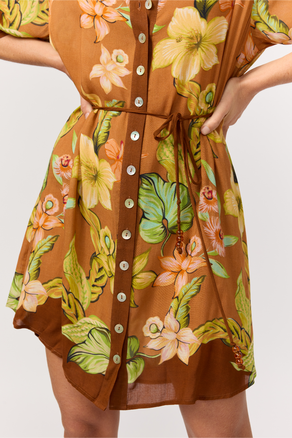 Brown dress with floral pattern on a white background